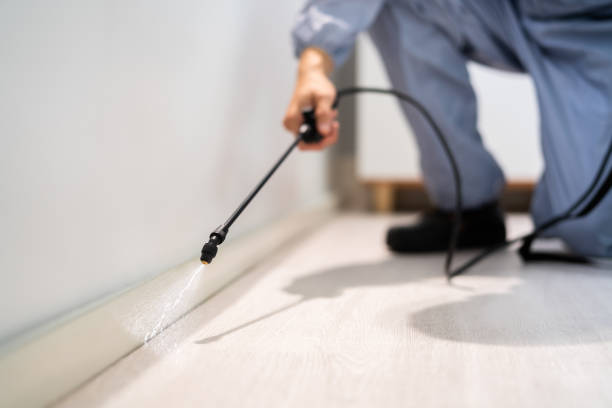 Professional exterminator conducting IPM assessment in Indian Head