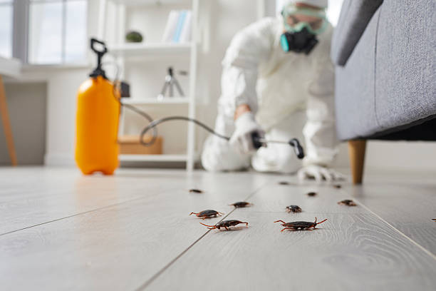 Post-Treatment Bed Bug Interceptor Monitoring in Indian Head