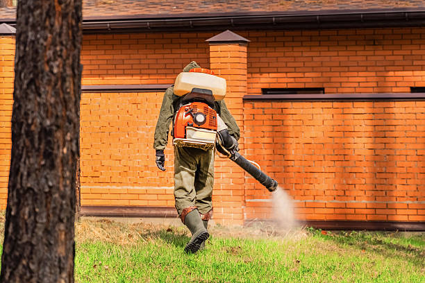 Bed Bug Clearance Verification and Documentation in Indian Head